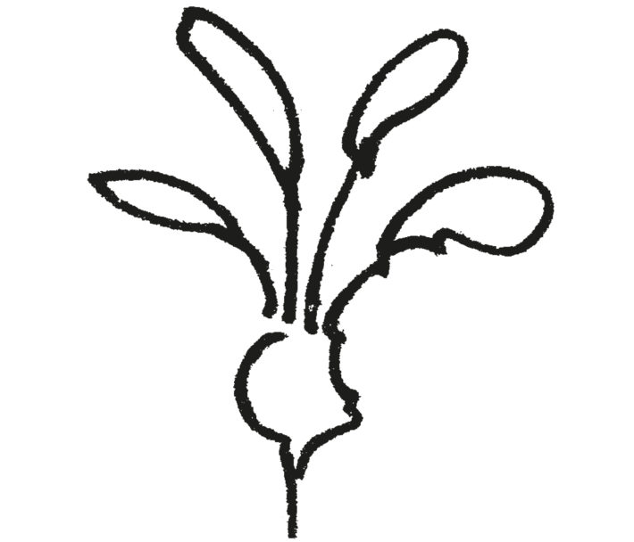 Logo_Grassrooted_dachkomitee_it