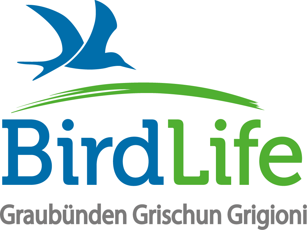 Logo BirdLife Graub_nden farbig